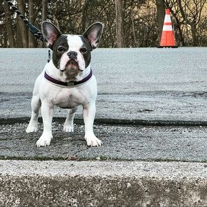 Meet your Posher, Tamara